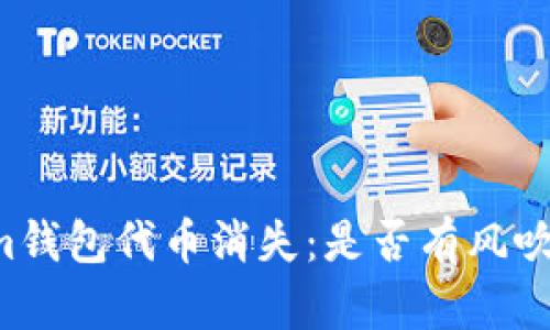 當你的Tokenim錢包代幣消失：是否有風吹走了你的財產(chǎn)？