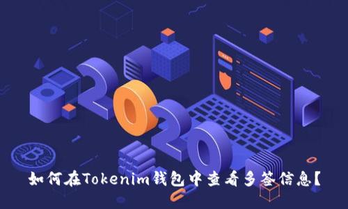如何在Tokenim錢包中查看多簽信息？