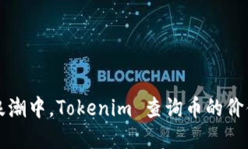 在數(shù)字貨幣浪潮中，Tokenim 查詢幣的價(jià)值與未來展望
