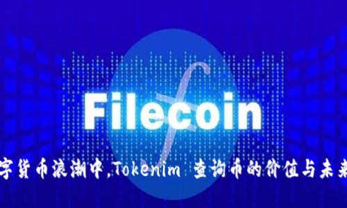 在數(shù)字貨幣浪潮中，Tokenim 查詢幣的價(jià)值與未來展望