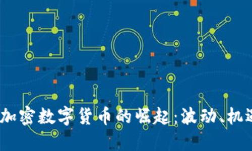 2019年加密數字貨幣的崛起：波動、機遇與風險