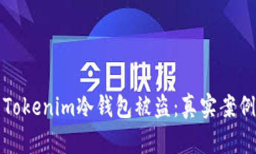 如何防范Tokenim冷錢包被盜：真實(shí)案例深度解析