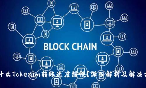 為什么Tokenim轉(zhuǎn)賬速度緩慢？深入解析及解決方案