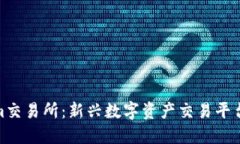 探秘Tokenim交易所：新興數(shù)