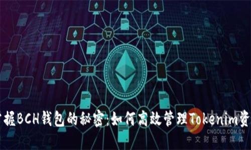 掌握BCH錢包的秘密：如何高效管理Tokenim資產(chǎn)