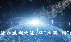 揭秘小市值加密貨幣盈利