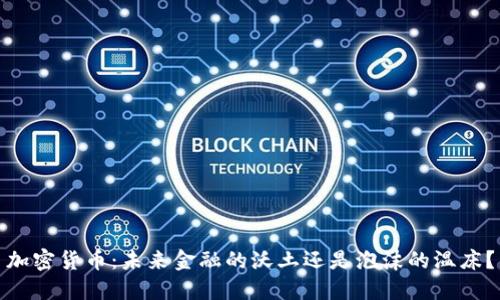 加密貨幣：未來金融的沃土還是泡沫的溫床？