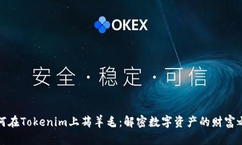 如何在Tokenim上薅羊毛：解密數(shù)字資產(chǎn)的財富之路