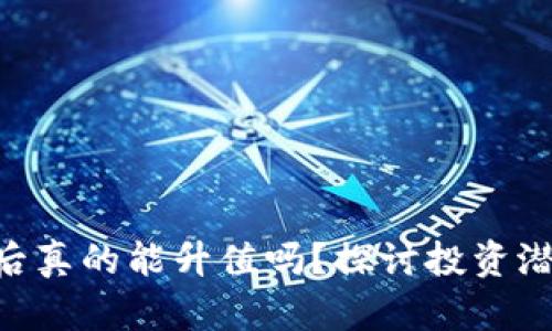 Tokenim存完后真的能升值嗎？探討投資潛力與市場趨勢