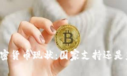 南非的加密貨幣現(xiàn)狀：國家支持還是監(jiān)管憂慮？