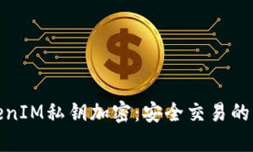 探索TokenIM私鑰加密：安全交易的未來之路