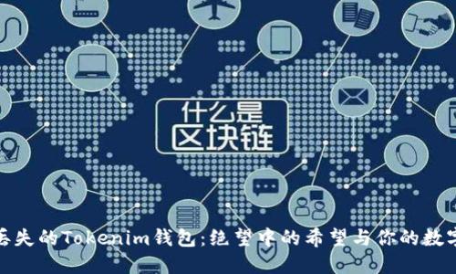 如何找回丟失的Tokenim錢包：絕望中的希望與你的數(shù)字資產(chǎn)安全