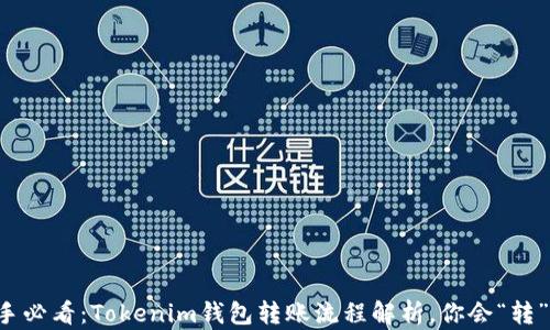 
新手必看：Tokenim錢包轉(zhuǎn)賬流程解析，你會(huì)“轉(zhuǎn)”嗎？