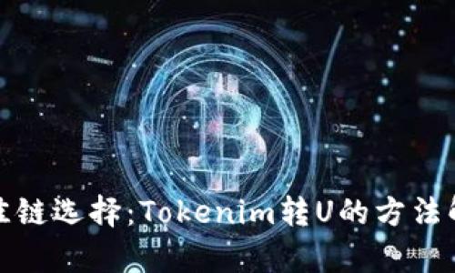 最佳鏈選擇：Tokenim轉U的方法解析