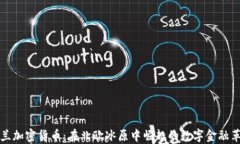 芬蘭加密貨幣：在北歐冰