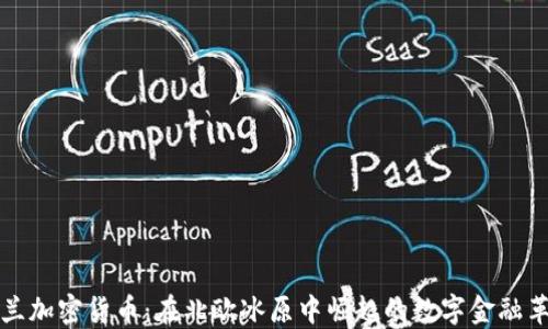 
芬蘭加密貨幣：在北歐冰原中崛起的數(shù)字金融革命