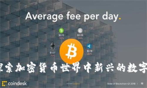 貓幣：探索加密貨幣世界中新興的數(shù)字小姐姐