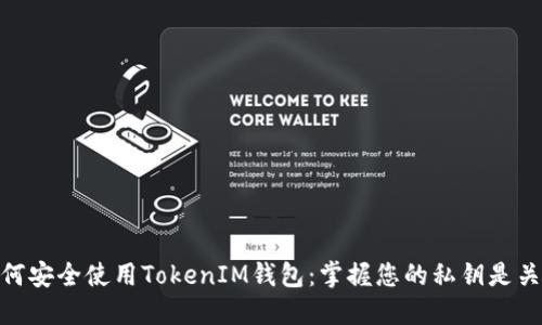 如何安全使用TokenIM錢(qián)包：掌握您的私鑰是關(guān)鍵