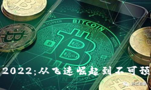 加密貨幣2022：從飛速崛起到不可預(yù)測的未來