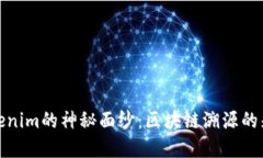 揭開Tokenim的神秘面紗：區(qū)