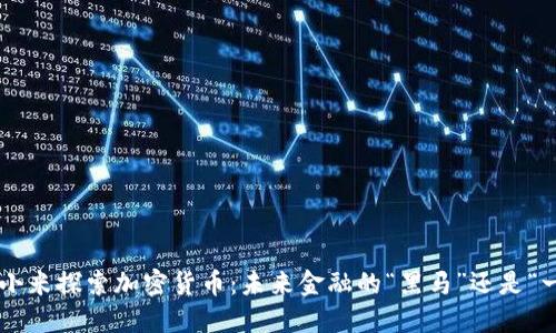 西班牙小米探索加密貨幣：未來金融的“黑馬”還是“一場夢”？