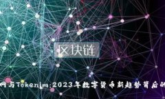 火幣網(wǎng)與Tokenim：2023年數(shù)字