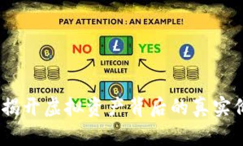 美國加密貨幣：揭開虛擬資產(chǎn)背后的真實(shí)價(jià)值與文化影響