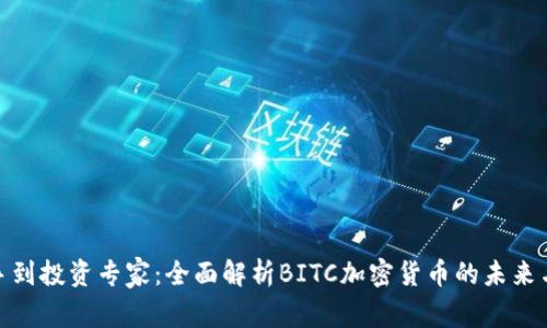 從新手到投資專家：全面解析BITC加密貨幣的未來與風(fēng)險