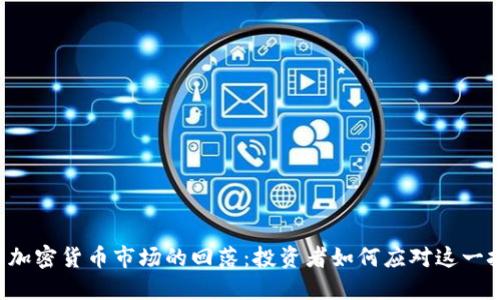 美國(guó)加密貨幣市場(chǎng)的回落：投資者如何應(yīng)對(duì)這一挑戰(zhàn)？