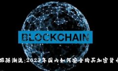 跟隨潮流：2023年國(guó)內(nèi)如何