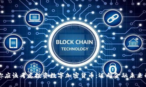 為什么你應(yīng)該考慮投資數(shù)字加密貨幣：邁向金融未來(lái)的第一步