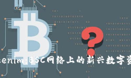 理解Tokenim：BSC網(wǎng)絡(luò)上的新興數(shù)字資產(chǎn)革命