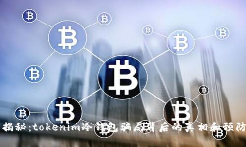深度揭秘：tokenim冷錢包騙局背后的真相和預(yù)防方法
