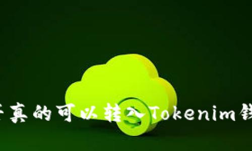 “空氣幣”是否真的可以轉(zhuǎn)入Tokenim錢包？一探究竟