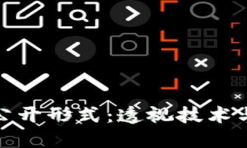 加密貨幣的公開形式：透視技術(shù)與未來的交匯