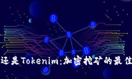 選擇幣安還是Tokenim：加密挖礦的最佳平臺之爭
