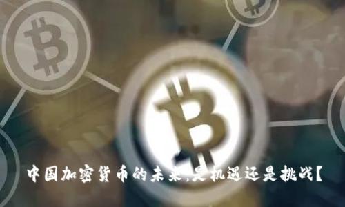 中國加密貨幣的未來：是機(jī)遇還是挑戰(zhàn)？