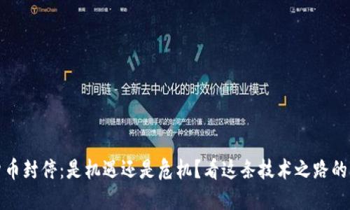 加密貨幣封停：是機(jī)遇還是危機(jī)？看這條技術(shù)之路的轉(zhuǎn)折點(diǎn)