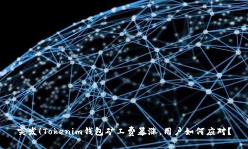 突發(fā)！Tokenim錢包礦工費(fèi)暴漲，用戶如何應(yīng)對(duì)？