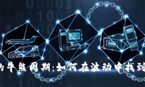 加密貨幣的牛熊周期：如何在波動中找到投資機會？