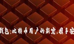 Tokenim錢包：比特幣用戶的