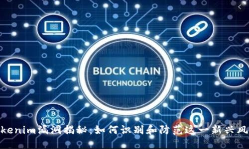 Tokenim漏洞揭秘：如何識(shí)別和防范這一新興風(fēng)險(xiǎn)