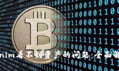 如何解決Tokenim看不到資產(chǎn)的問(wèn)題：全面解析與解決方案