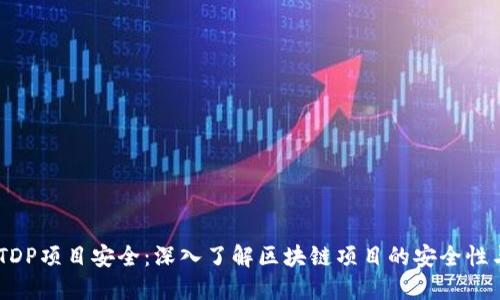 TokenimETDP項(xiàng)目安全：深入了解區(qū)塊鏈項(xiàng)目的安全性與防護(hù)措施