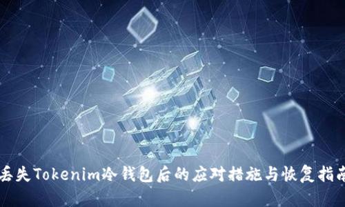 丟失Tokenim冷錢包后的應(yīng)對措施與恢復(fù)指南