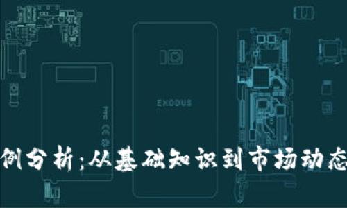 加密貨幣實(shí)例分析：從基礎(chǔ)知識到市場動態(tài)的全面探討
