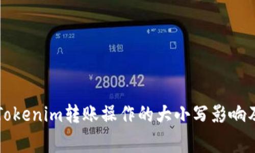 深入解析Tokenim轉(zhuǎn)賬操作的大小寫影響及注意事項