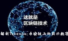 深入解析Tokenim：幣安鏈上