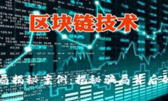 虛擬加密貨幣騙局揭秘案