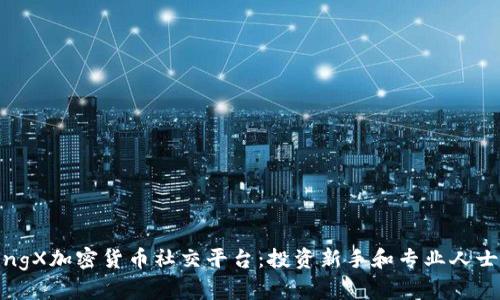 深入探討B(tài)ingX加密貨幣社交平臺：投資新手和專業(yè)人士的理想選擇
